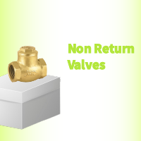 Non Return Valves